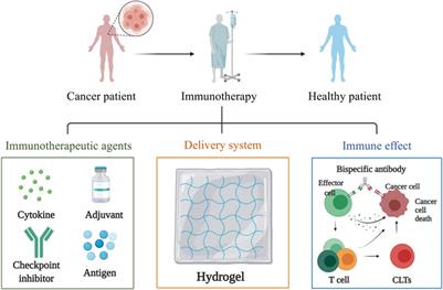 Hydrogel-By-Design: Smart Delivery System for Cancer Immunotherapy